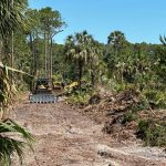 Land-clearing work has started on nearly 200 acres along Royal Palms Parkway and Town Center Boulevard at the southern rim and I-95 along the future development's eastern rim for what will be a 333-home subdivision. (© FlaglerLive)