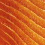 farmed salmon color carotenoids