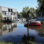 Flooded cars in Clearwater, Fla., after the arrival of Hurricane Milton on Oct. 10, 2024. Spencer Platt/Getty Images