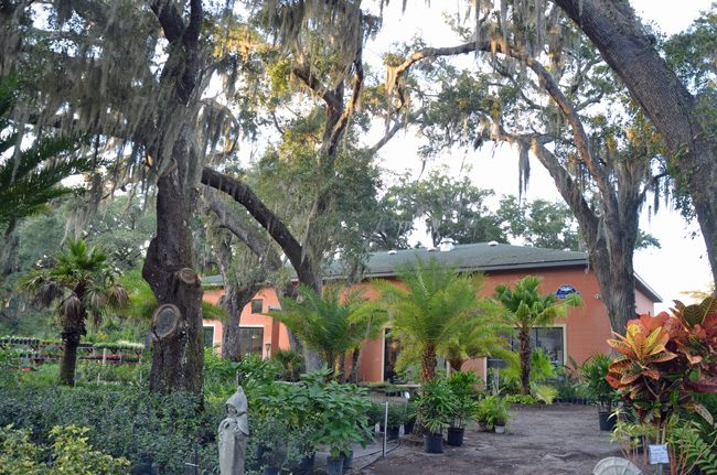 Salvo Art Project's 6,000 square-foot home at Nature Scapes in Bunnell. The art gallery's days there may be numbered. (c FlaglerLive)