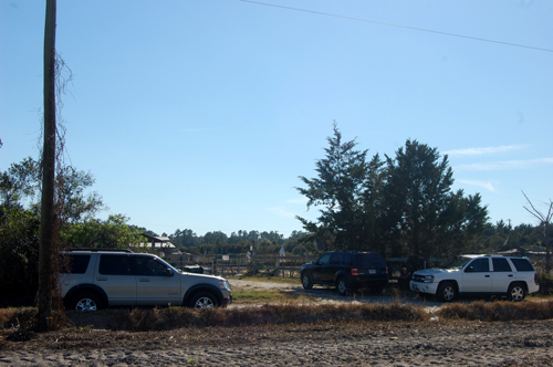 pig sanctuary bunnell 