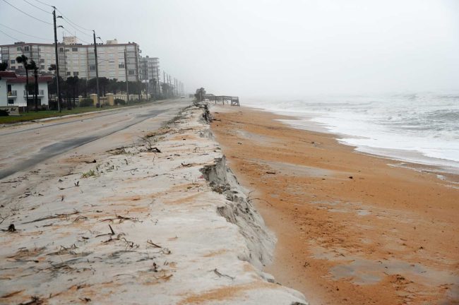 Half the sand that the Department of Transportation had been dumping to reinforce what remained of the dunes at the south end of Flagler was gone by midday today, with the worst of the storm's waves still ahead. (© FlaglerLive)