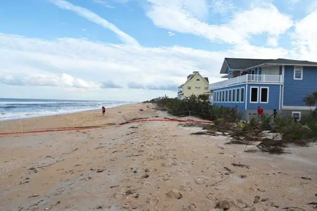 A red hose pumping out floodwaters from the Hopfe property, across sands that not long ago were covered in vegetation and a more defined dune in front of the house. (© FlaglerLive)