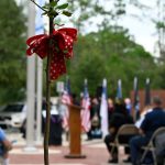 A sapling from the Survivor Tree at Ground Zero, now in Palm Coast's Heroes Park. It was dedicated during a 9/11 ceremony Saturday. (© FlaglerLive)