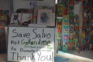 save salvo