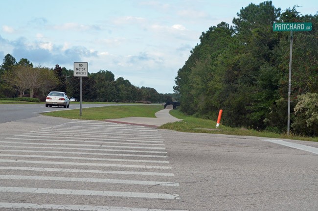 palm coast students crashes safety