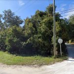 The school board's land extends in the shape of a trapezoid from Pamela Parkway--the dirt road to the right--south to Yacht Harbor. (Google)