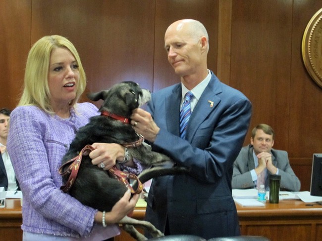 The petting is over between three members of the Florida Cabinet--each of whom has gubernatorial ambitions--and Gov. Rick Scott as the abrupt exit of FDLE chief Gerald Bailey has touched off the most serious controversy of Scott's tenure. (Bill Cotterell/Florida Memory)