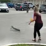 Abra Seay alligator rymfire elementary