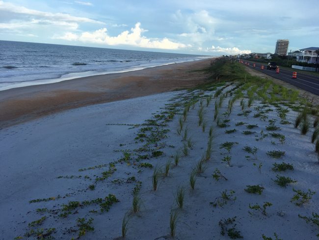 Flagler Pier Tide Chart