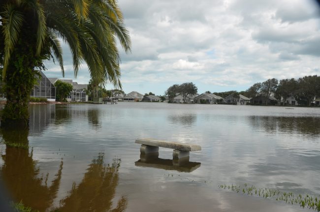 sea colony hurricane matthew