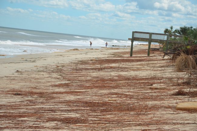 hurricane matthew sea colony