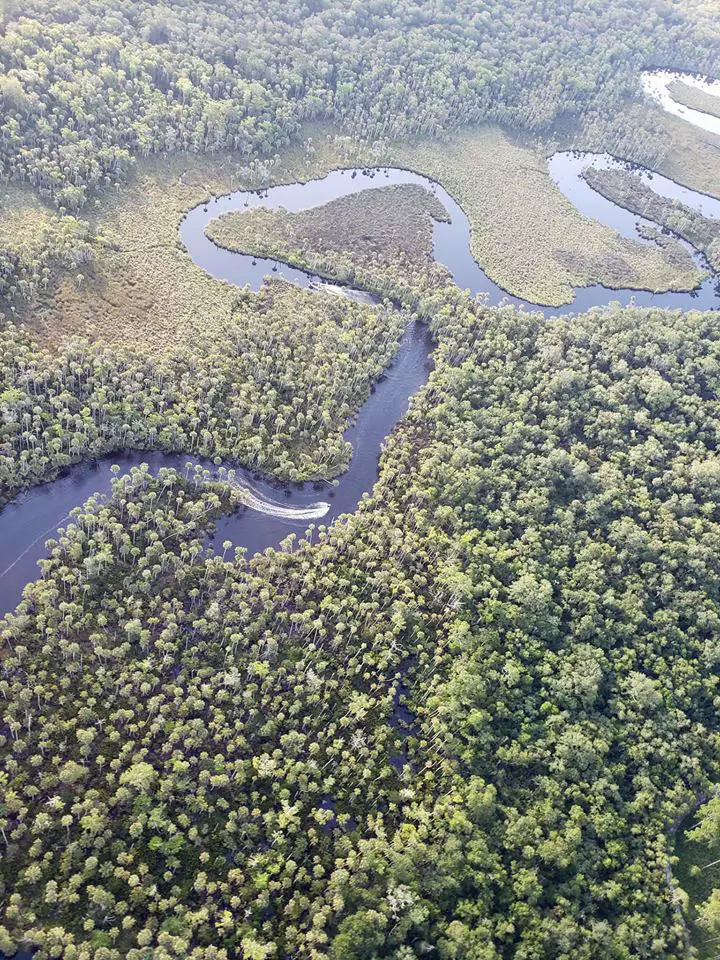 The search encompassed vast, marshy acreage in Bulow Creek. (Flagler County Fire Flight)