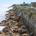 The secant seawall at the north end of Flagler Beach, built in 2019, held strong during the last two hurricanes last fall, but the dunes that once covered it are gone, so is the high-tide beach in front of it, scoured as it's been by wave energy that cannot be diffused by the slope of dunes. (© FlaglerLive)