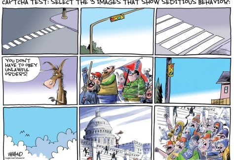 Seditious behavior by Dave Whamond, Canada, PoliticalCartoons.com