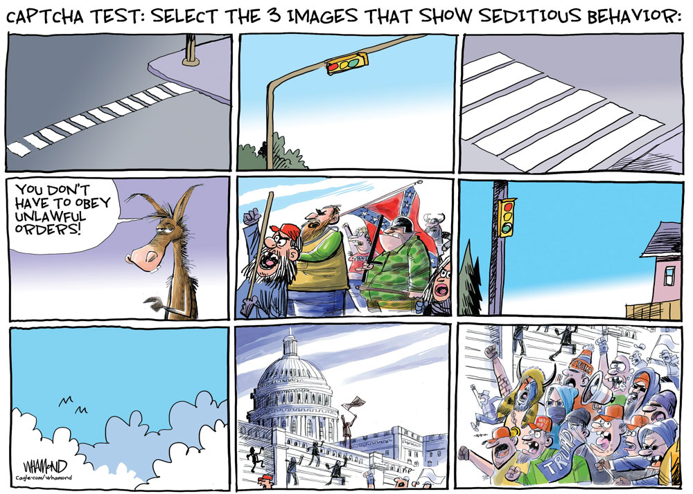 Seditious behavior by Dave Whamond, Canada, PoliticalCartoons.com