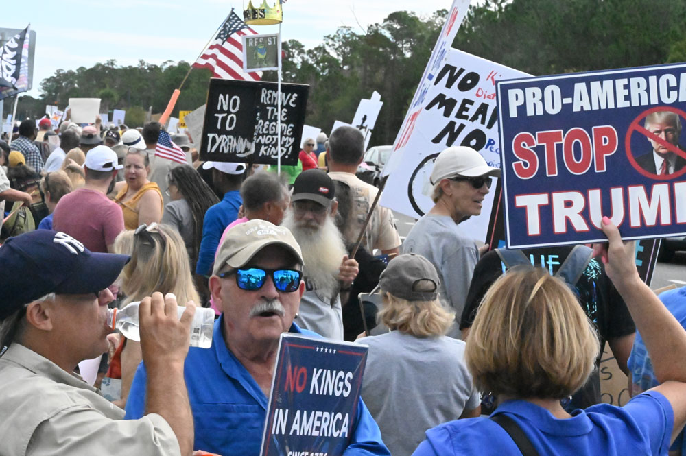 A small segment of today;'s protest near the Target shopping center that filled the block from Belle Terre Parkway to Landing Boulevard. (© FlaglerLive)