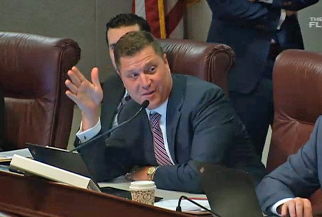 Sen. Jeff Brandes, a member of the Community Affairs Committee, explains his amendment, which essentially lets governments like Flagler County maintain their existing regulations of short-term rentals. (Florida Channel)