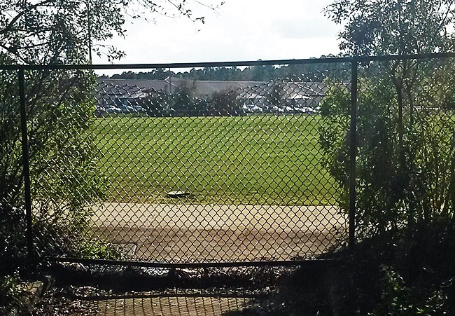 ralph carter park fence crime