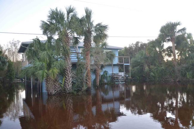 Former School Board member Evie Schellenberger's house was among the most severely flooded by the storm. Here, the waters had already receded considerably, though it was Sunday. Click on the image for larger view. (c FlaglerLive)