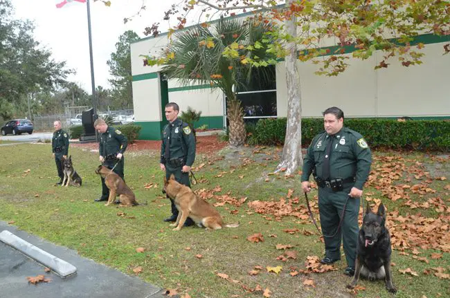 The Flagler County Sheriff's K-9 Unit four years ago. (© FlaglerLive)