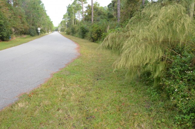 The spot where Trevor Blumenfeld fell, by the fuzzy bush. Tuesday morning, there were no signs that anything had gone amiss. (c FlaglerLive)