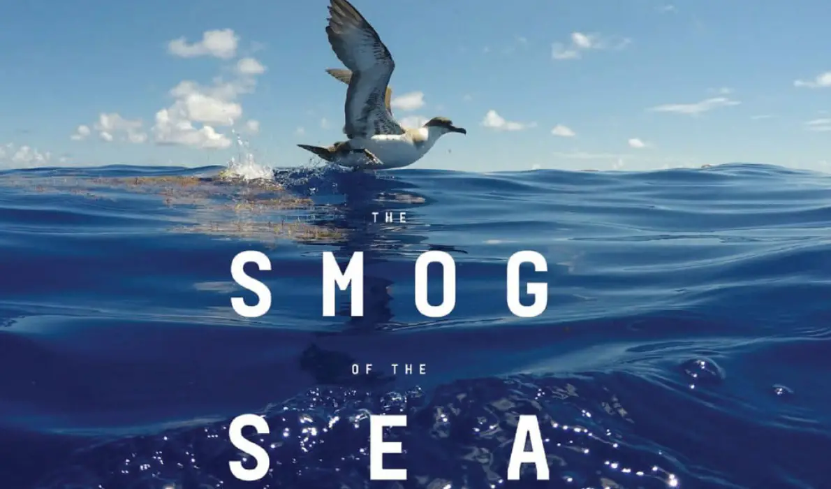 smog of the sea