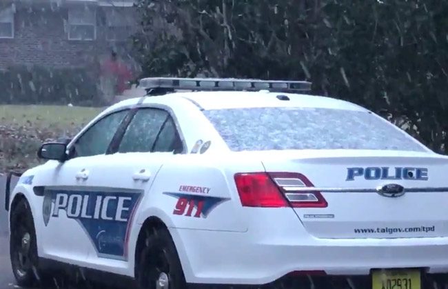 Tallahassee police tweeted a picture of one of its cars dusted by snow earlier today. Snow fell in St. Augustine as well, but not further south.