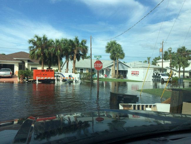 On South Flagler Avenue in Flagler Beach. (c FlaglerLive)