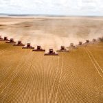 Harvesting soybeans in Mato Grosso, Brazil. Brazil exports soybeans and uses them domestically to make animal feed and biodiesel. Paulo Fridman/Corbis via Getty Images
