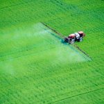 Spraying from either a ground-based vehicle or an airplane is a common method for applying pesticides. (Edwin Remsburg/VW Pics via Getty Images)