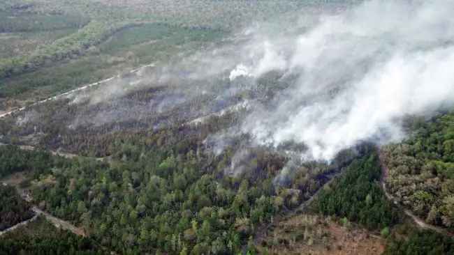 A view of the fire from Fire Flight. (Dana Morris)