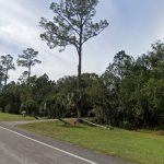 State Road 11 looking south, just outside Bunnell, with acreage to the right that would be part of The Reserve at Haw Creek, a proposed 6,000 to 8,000 home development.