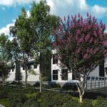The Crepe myrtle might need a little time to grow: a rendering of the proposed self-storage facility on Pine Lakes Parkway. (Johnson Development)
