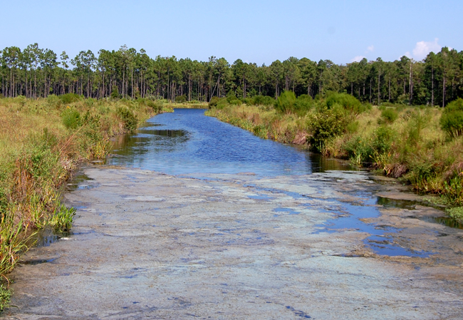 stormwater palm coast