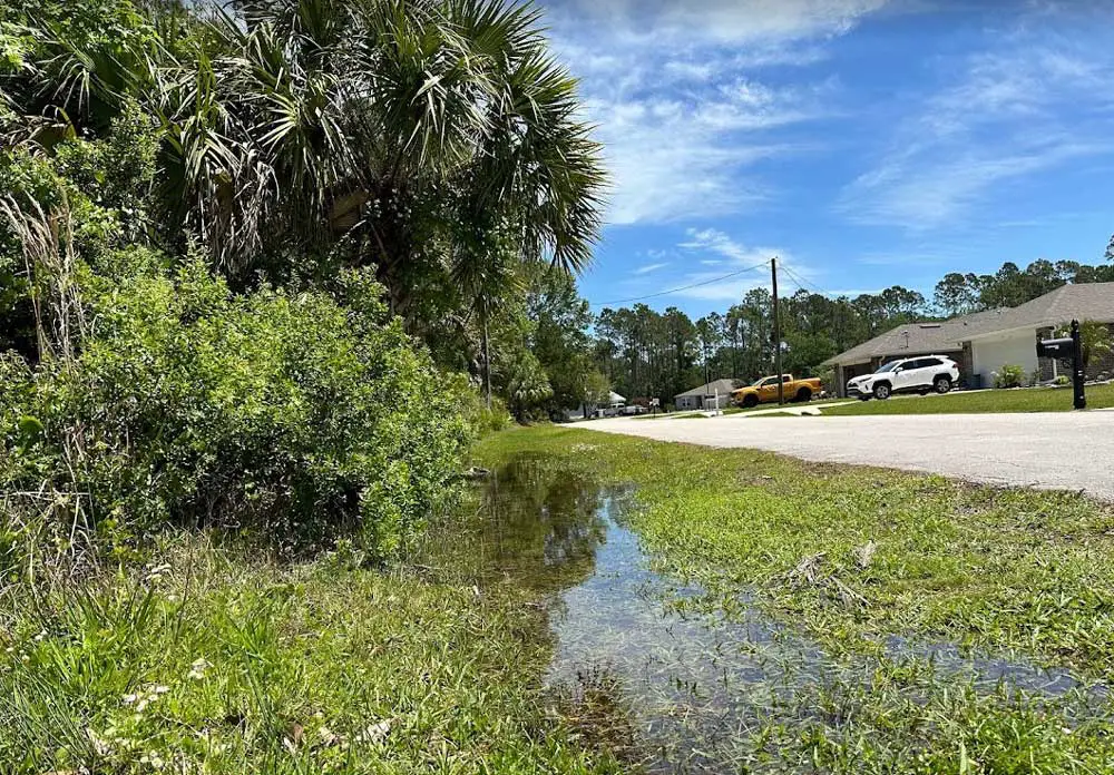 The property owners of the vacant lots to the left are not responsible for mowing the right of way swales fronting the road, the way homeowners to the right are. Palm Coast government is about to change that. (© FlaglerLive)