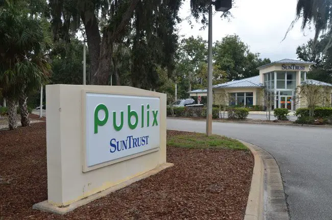The political signs were planted on land leased to Publix and SunTrust Bank in the Hammock. (c FlaglerLive)