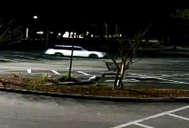 The suspects' vehicle as captured by a store's surveillance camera. (FCSO)