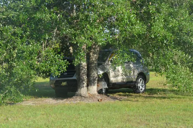 The SUV crashed into a tree off U.S. 1, but sustained relatively light damage compared to vehicles that strike trees of poles with full force. (c FlaglerLive)