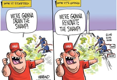 The New Swamp by Dave Whamond, Canada, PoliticalCartoons.com