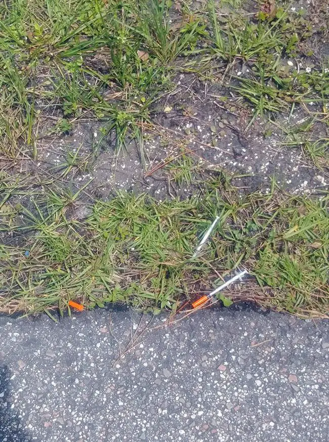 An R-Section resident took the above picture of syringes spotted at the corner of Rickenbacker and Riviera Drives in Palm Coast on May 18, and posted it in the neighborhood's Facebook group. The purpose of the syringes has not been verified. 