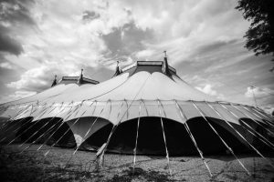 The circus, also known as the Florida Legislature, is back in town. (Photo via FSU Flying High Circus.)