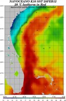 right whale water temperatures florida atlantic