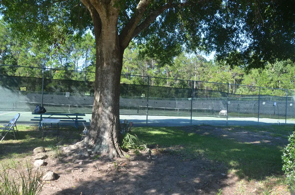 A pretty setting, but the tennis courts at the Belle Terre Swim and Racquet Club are not likely to survive whatever makeover the club will experience in the coming year. (© FlaglerLive)
