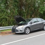 Thomas Brown's Ford Focus as he left it by the side of County Road 305 Monday evening. (FCSO)