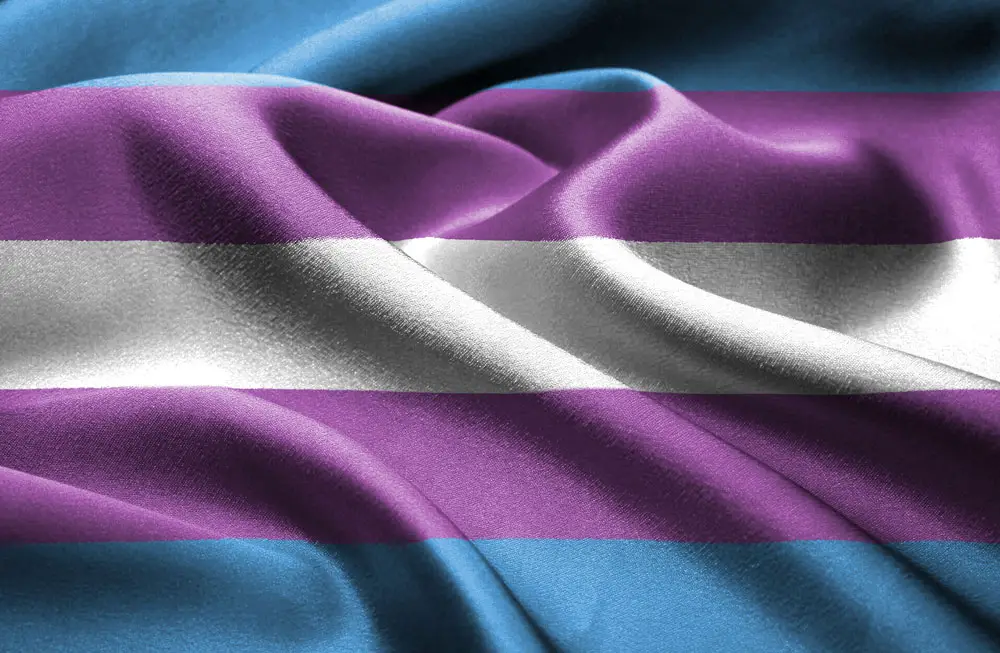Republican legislatures have been uninterested in pledging allegiance to the transgender flag. (