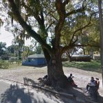 Ahmad Kashard Williams murdered his childhood friend at "The Tree," a vacant lot, above, that took its name for the big, scraggly tree that shaded it. (Google)