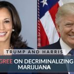 A screenshot from a new ad from Smart & Sense Florida of Kamala Harris and Donald Trump.