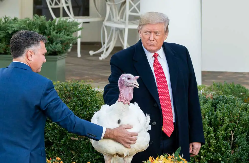 Trump practicing pardons in 2019. (White House)