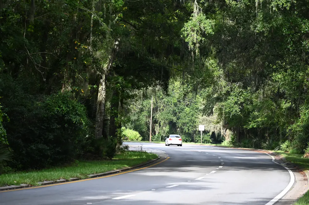 Palm Coast government is hoping to secure money to but all lands along the Palm Coast Parkway corridor to protect the city's signature canopy. (© FlaglerLive)
